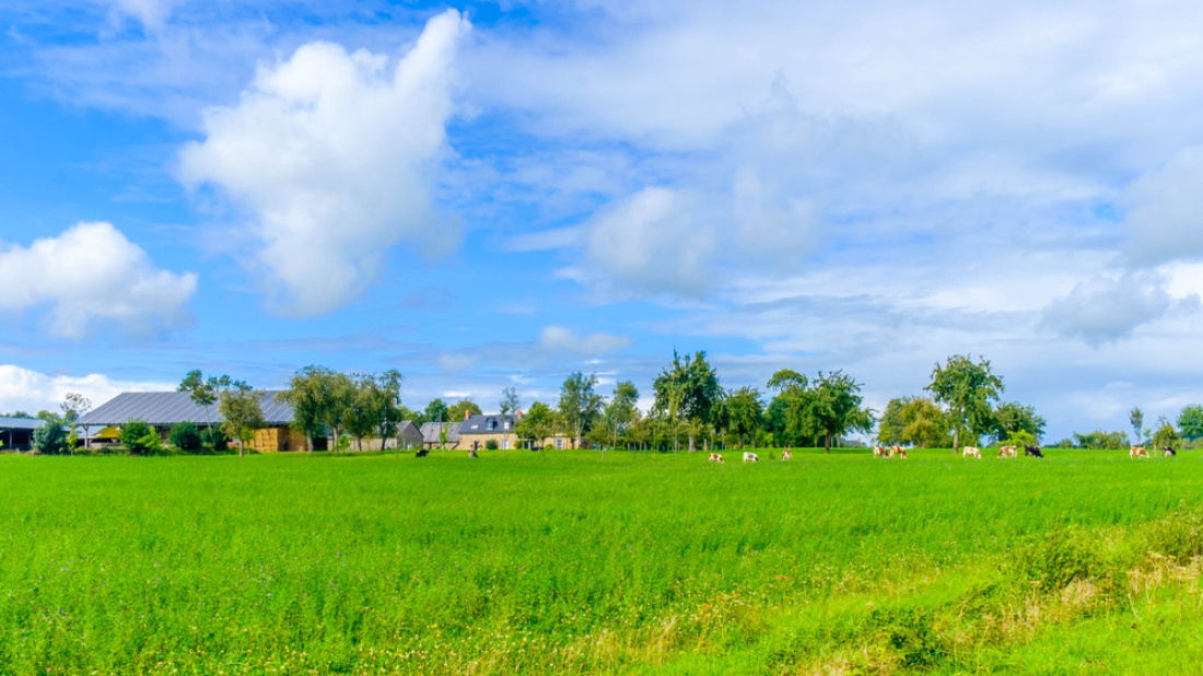 Exploitation agricole en Mayenne, par une journée d'été