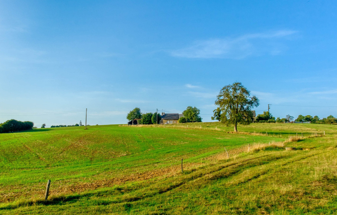 Un camp en Mayenne, bordé par quelques arbres