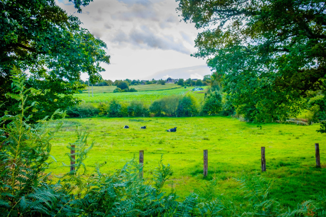 La campagne mayennaise