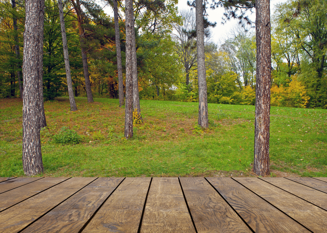 Terrasse en bois d'une maison en foret