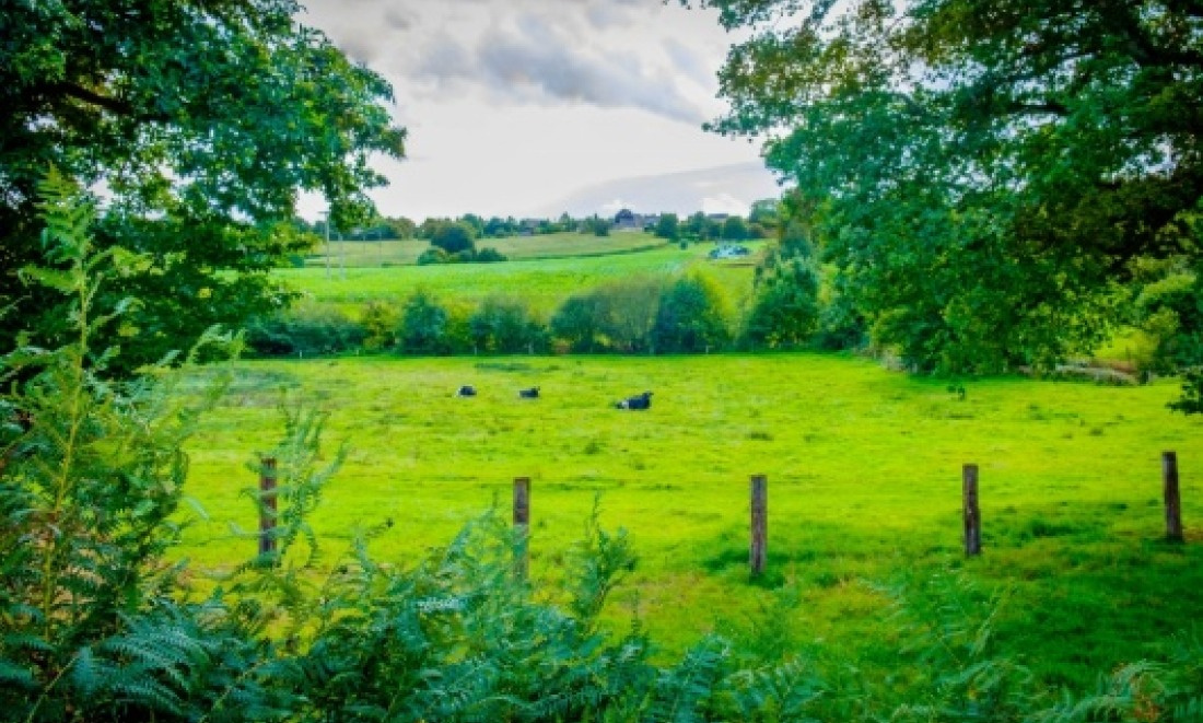 Les raisons d'acheter une terrain de loisir