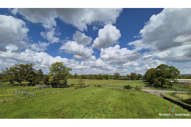 Superb house in Mayenne sector