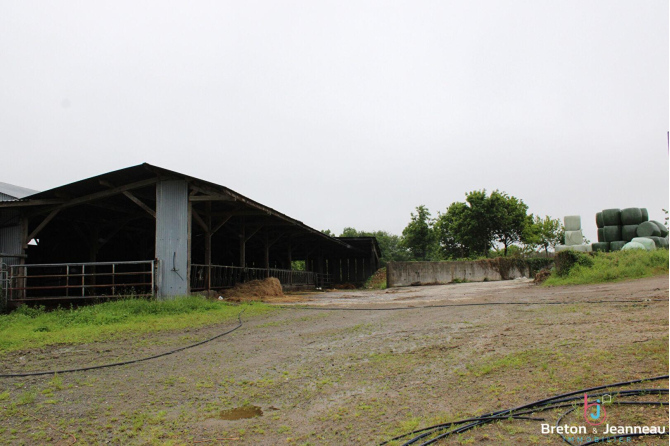 Terres agricoles libres 29 ha à Saint Berthevin la Tanniere