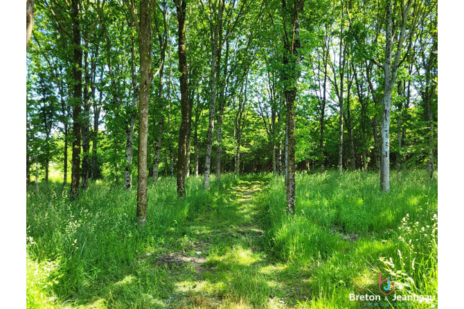 Fermette avec hectares secteur EVRON