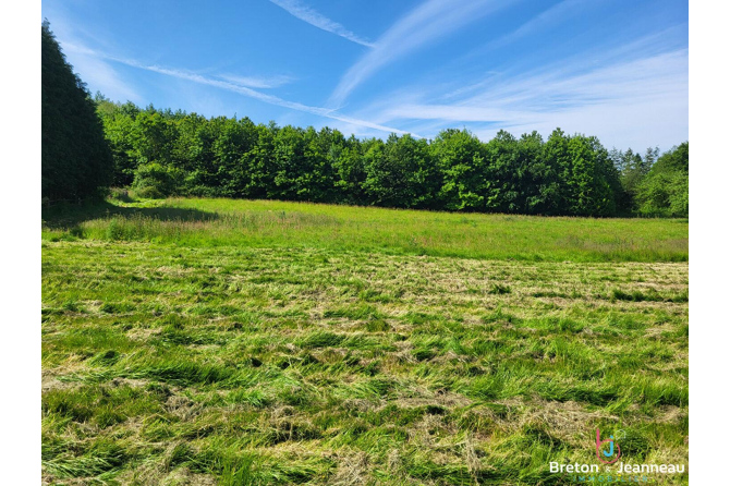 Fermette avec hectares secteur EVRON