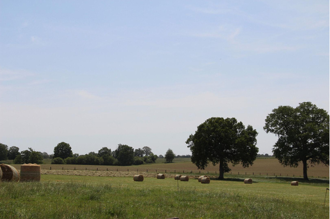 Corps de ferme sur 11ha 81 secteur Javron les Chapelles