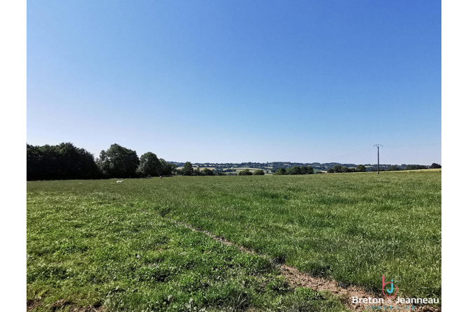 House on 4 ha of land with pond