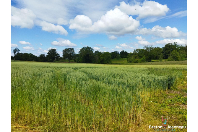 Farmhouse on one hectare MAYENNE sector