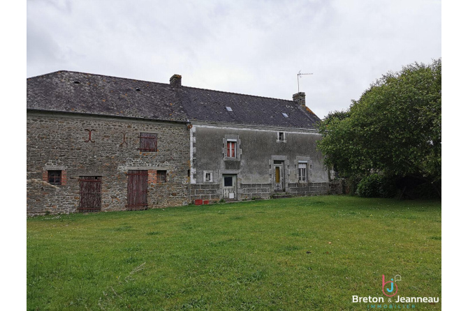 Farmhouse to renovate in Grazay