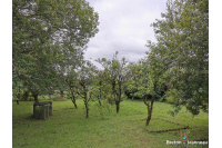 Farmhouse to renovate in Grazay