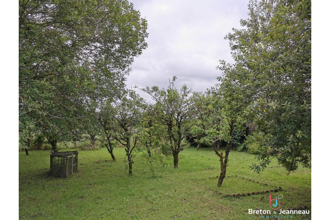 Farmhouse to renovate in Grazay