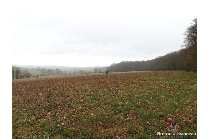 Terrain agricole de 7ha 46 à Vimartin sur Orthe