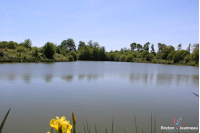 Terrain de loisirs de 3 ha 90 avec un plan d'eau de 1 ha 40 en Mayenne