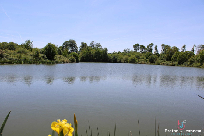 Terrain de loisirs de 3 ha 90 avec un plan d'eau de 1 ha 40 en Mayenne