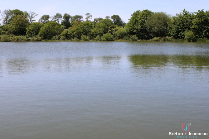 3 ha 90 recreational land with a 1 ha 40 lake in Mayenne