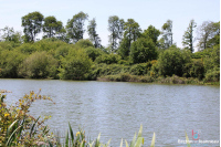 Terrain de loisirs de 3 ha 90 avec un plan d'eau de 1 ha 40 en Mayenne