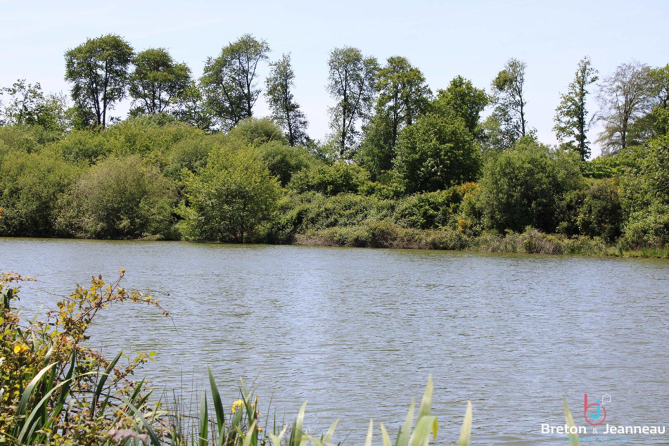 Terrain de loisirs de 3 ha 90 avec un plan d'eau de 1 ha 40 en Mayenne