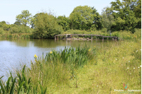 Terrain de loisirs de 3 ha 90 avec un plan d'eau de 1 ha 40 en Mayenne