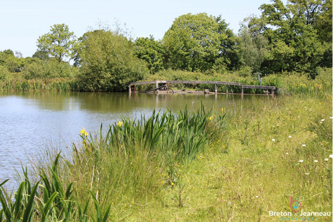 Terrain de loisirs de 3 ha 90 avec un plan d'eau de 1 ha 40 en Mayenne