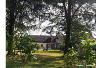 Maison en pierres avec un terrain