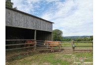 Corps de ferme sur 2ha96 à Vimartin sur Orthe