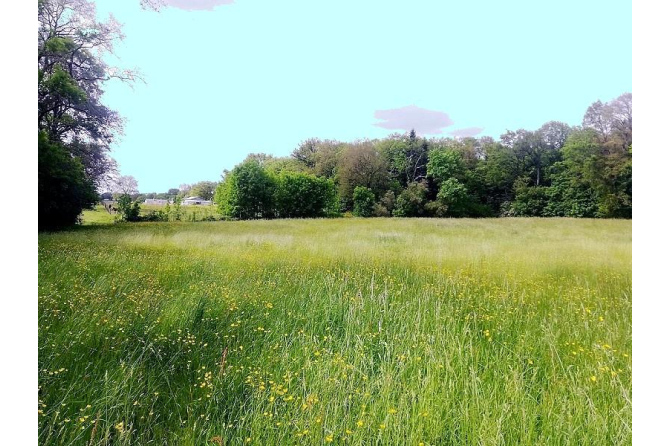 Propriété sur 5 ha secteur Meslay du Maine