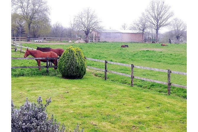 Propriété sur 5 ha secteur Meslay du Maine