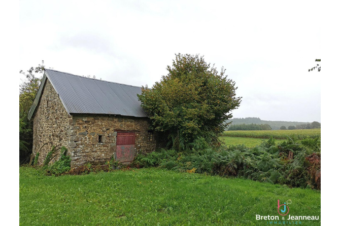 Farmhouse to renovate in the Bais area