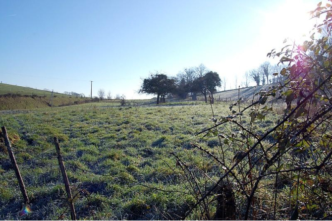 1 ha farmhouse in the Villaines la Juhel area