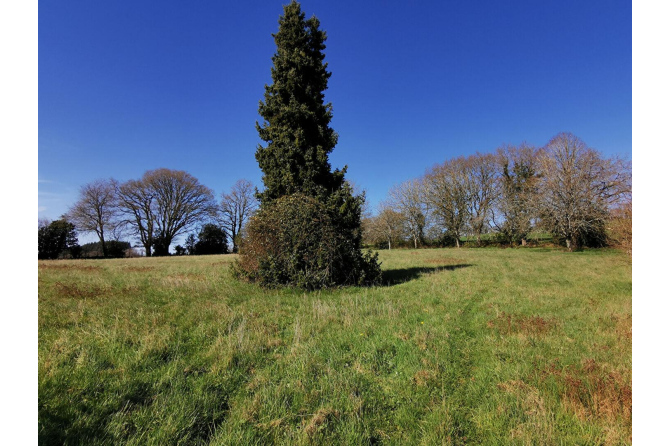 Country house in the Bais sector