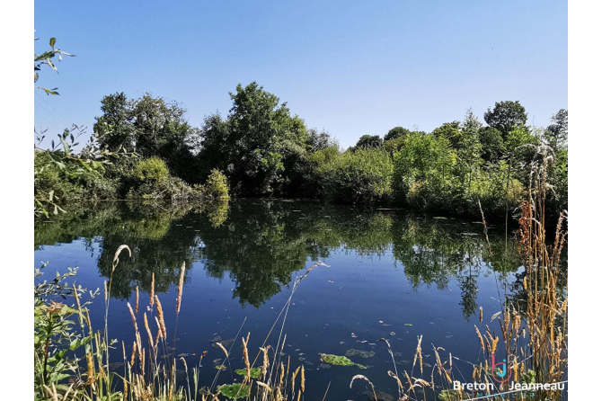 Maison sur 4 ha de terres avec pièce d'eau