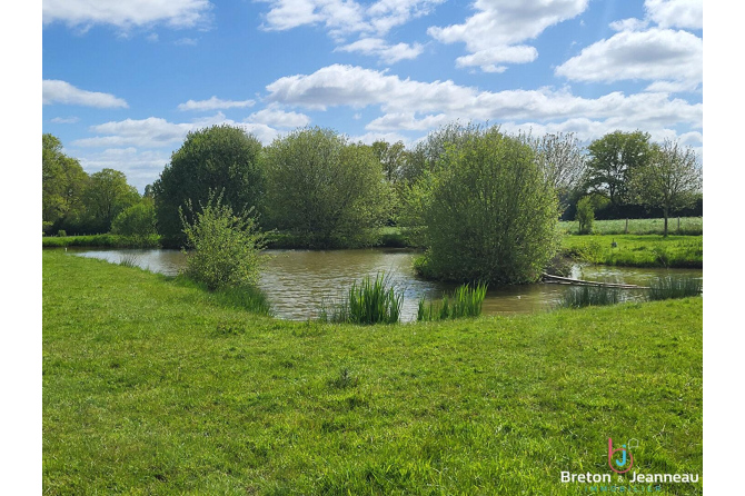 Propriété sur 1ha 80 à Sainte Suzanne