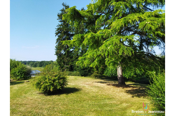 Propriété sur 7 600 m² secteur Mayenne