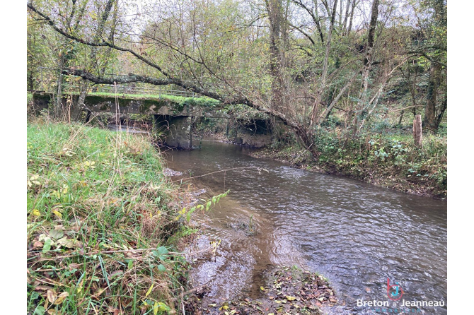 Old mill on 9200 sqm in Javron les Chapelles