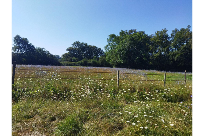 Propriété équestre sur 14 ha 50 secteur Vaiges