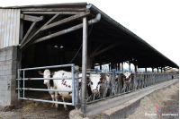 Organic dairy farm on 65 hectares all adjoining Villaines la Juhel sector