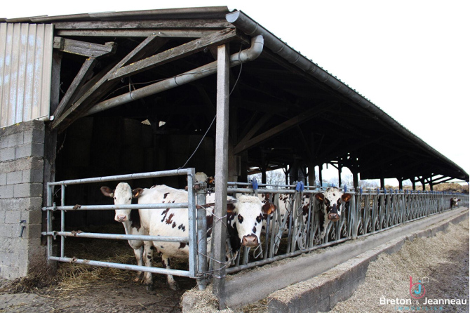 Organic dairy farm on 65 hectares all adjoining Villaines la Juhel sector