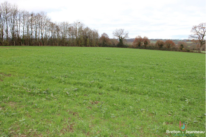 Organic dairy farm on 65 hectares all adjoining Villaines la Juhel sector