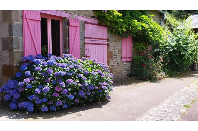 Propriété sur 2 hectares secteur Mayenne