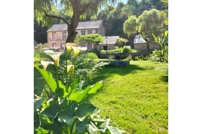 Propriété sur 2 hectares secteur Mayenne