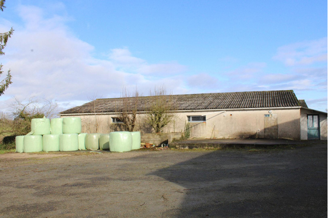 Beautiful farmhouse on 3 ha 333 in Juvigné