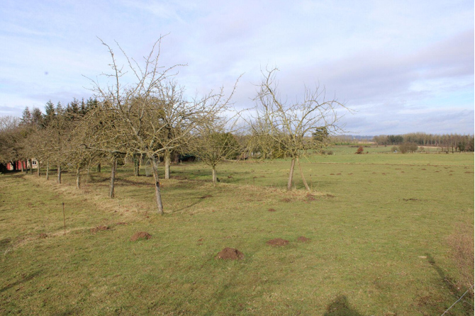 Beautiful farmhouse on 3 ha 333 in Juvigné