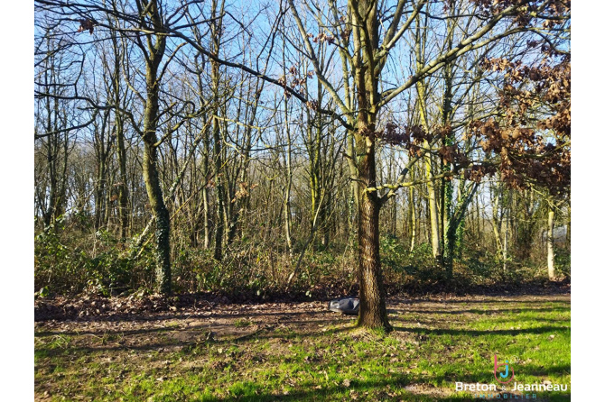 Propriété sur 1.17 hectares à MAYENNE