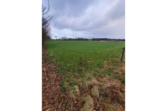 Terrain agricole de 3ha 84 loué à St Mars sur la Futaie