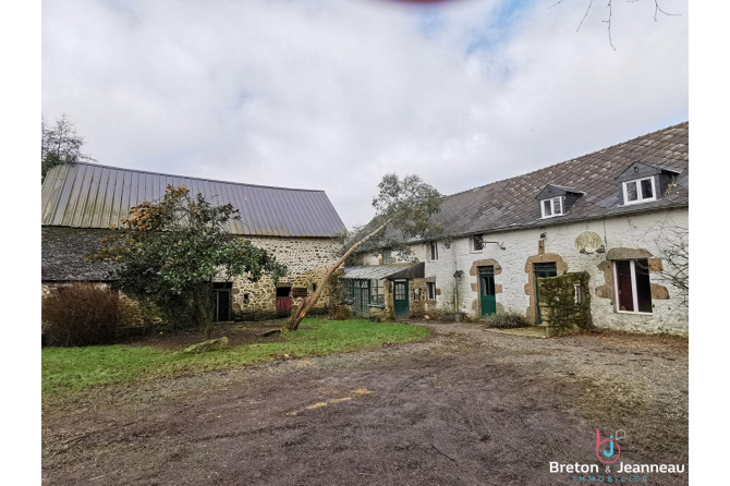 Maison sur 2,5ha à Vimartin sur Orthe