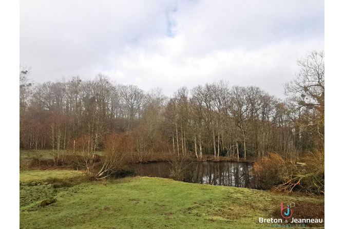 Maison sur 2,5ha à Vimartin sur Orthe