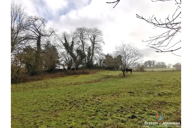 Maison sur 2,5ha à Vimartin sur Orthe