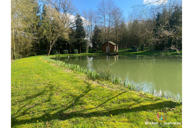 Etang sur 3 hectares de terrain - Secteur Mayenne