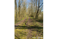 Etang sur 3 hectares de terrain - Secteur Mayenne