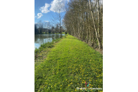 Etang sur 3 hectares de terrain - Secteur Mayenne